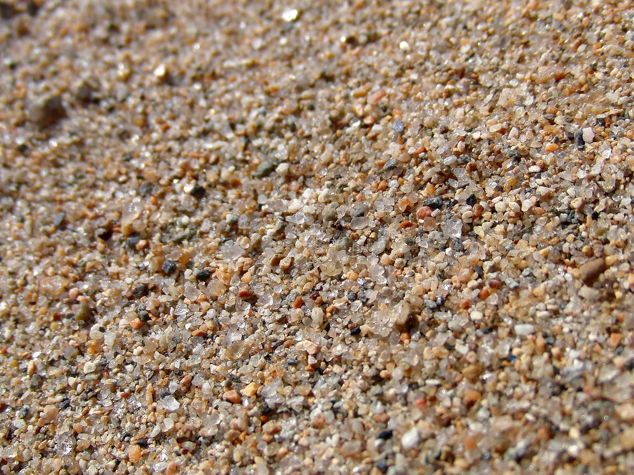 Coarse-sand and granule sample, 1280 × 960, top-down photograph used as the worked example